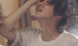 麻豆鹿,探寻自然之美与生态平衡的使者