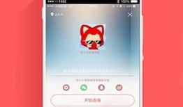 91直播99,揭秘热门直播平台的魅力与挑战